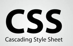 logo CSS inline