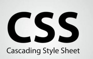logo CSS inline