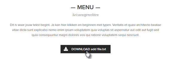 download bestand website